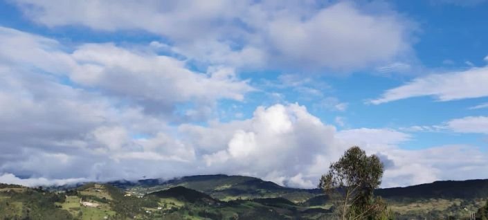 imagen noticia Minsalud advierte sobre enfermedades para este primer trimestre